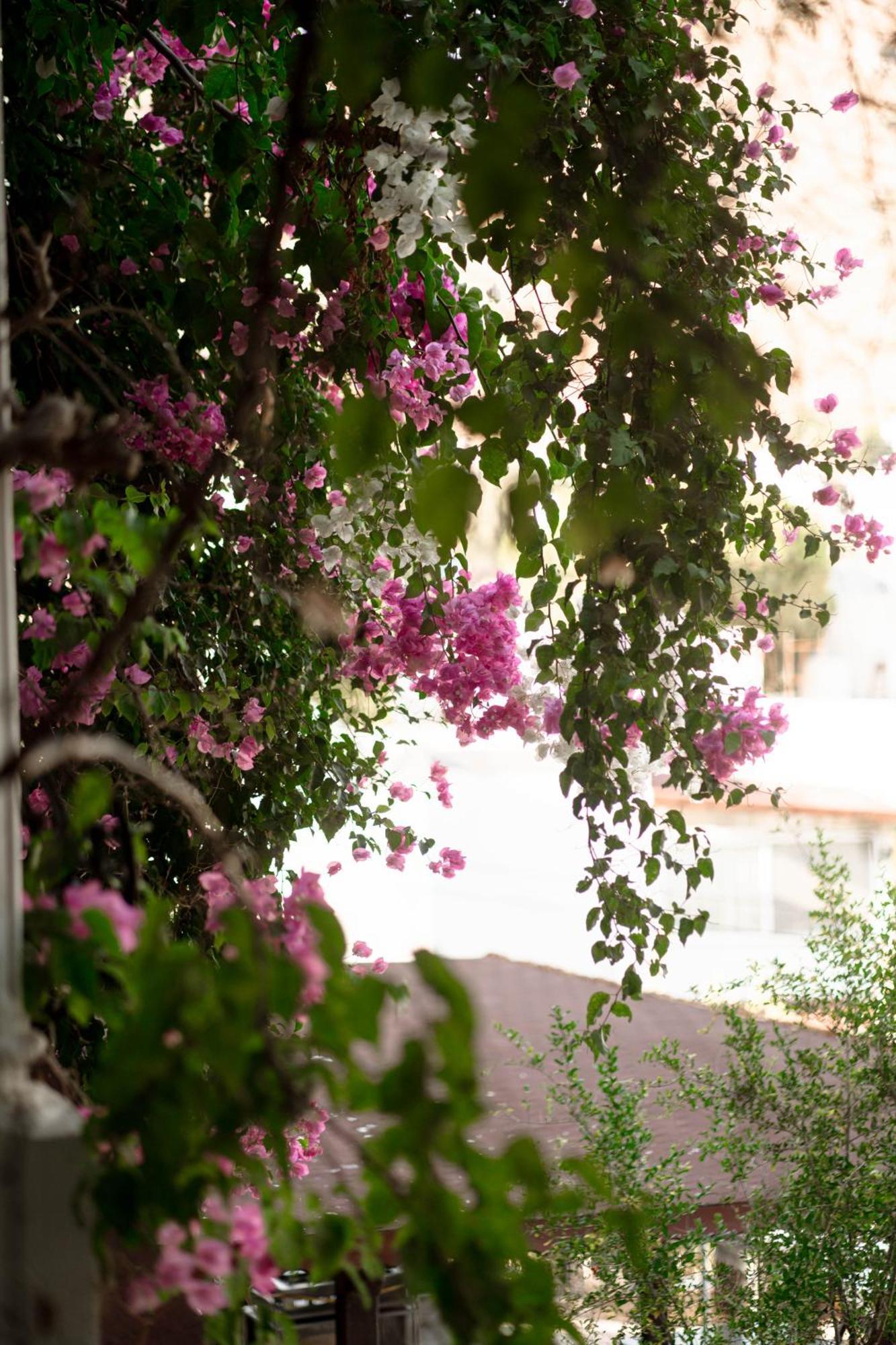Mare Garden Hotel Akyarlar Exterior foto